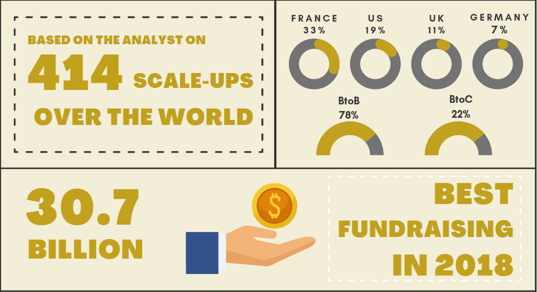 Focus on scale-ups