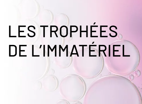 Les Trophées de L&rsquo;immatériel 2021- Skopai presents an award in the Start-up category